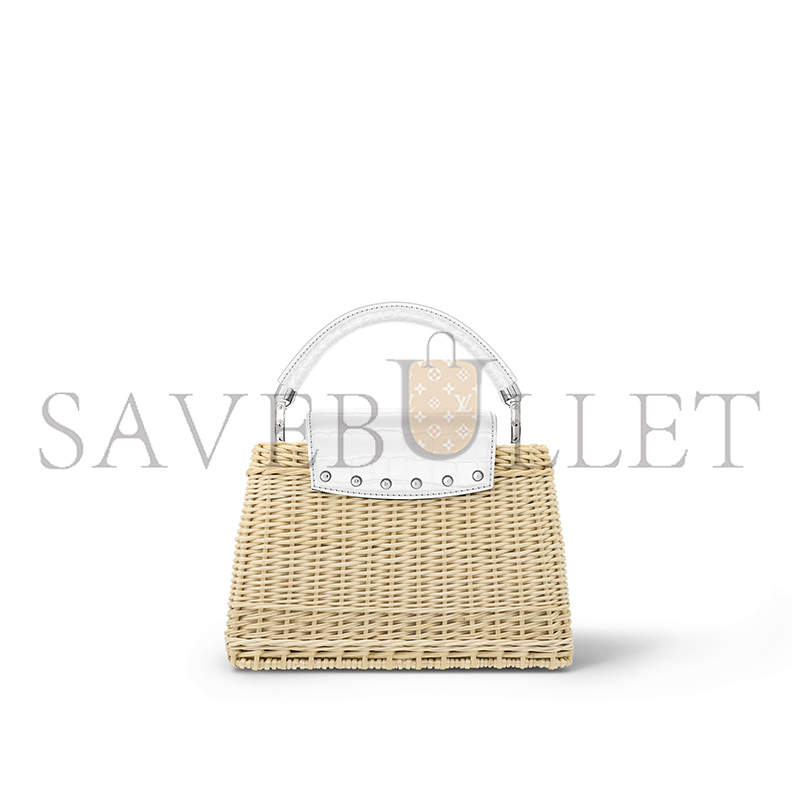 LOUIS VUITTON MASTER CAPUCINES BB N85520 (27*17*14cm)